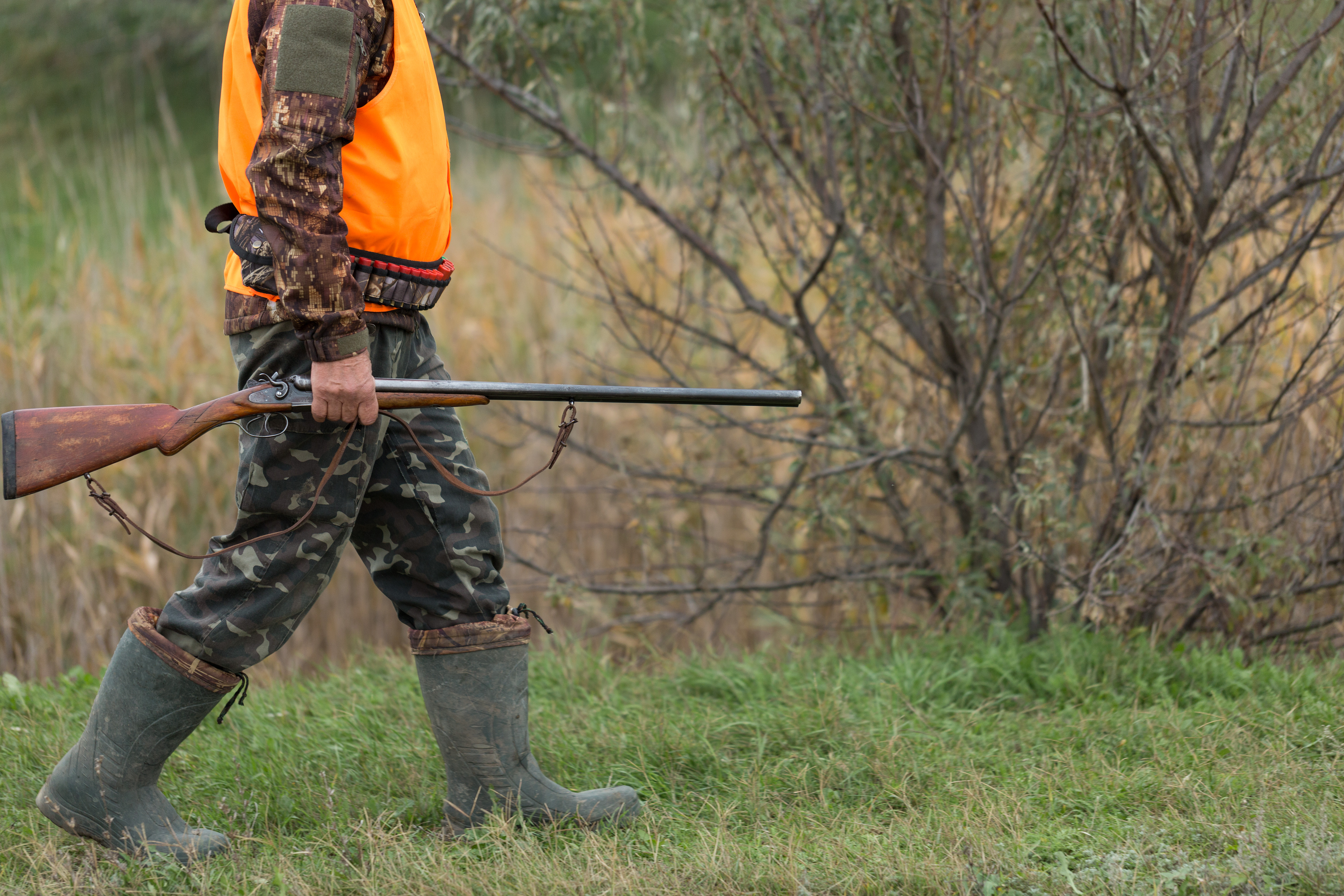 Chasse
